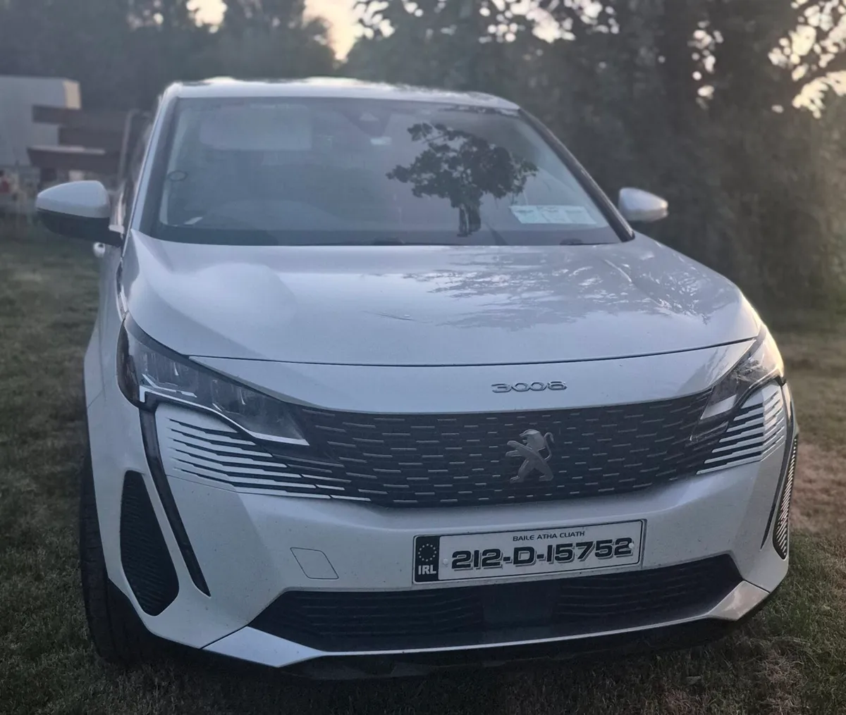 Peugeot 3008 Allure Van - Image 1