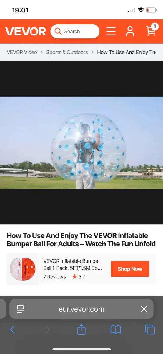 Inflatable bumper ball x2 - Image 1