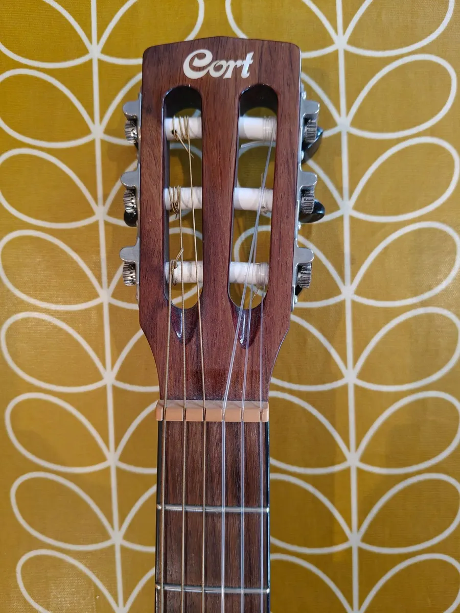 Cort Electric Nylon Classical Guitar - Image 2