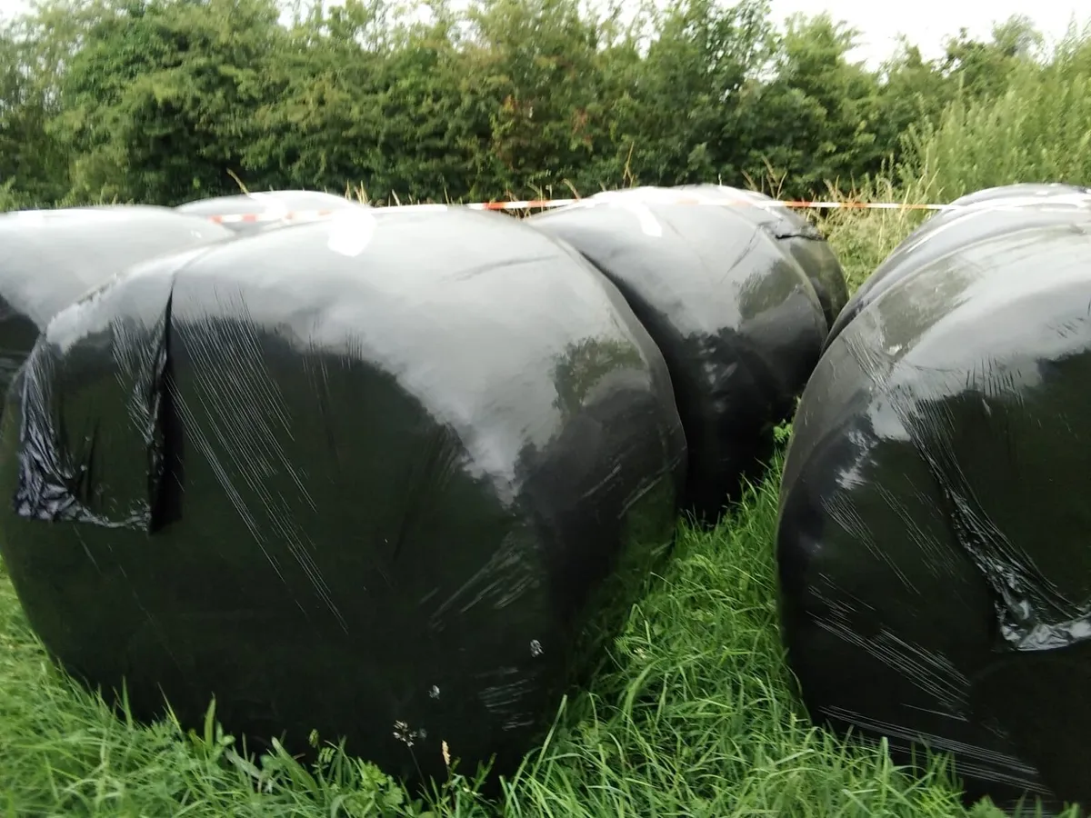 Silage bales - Image 2