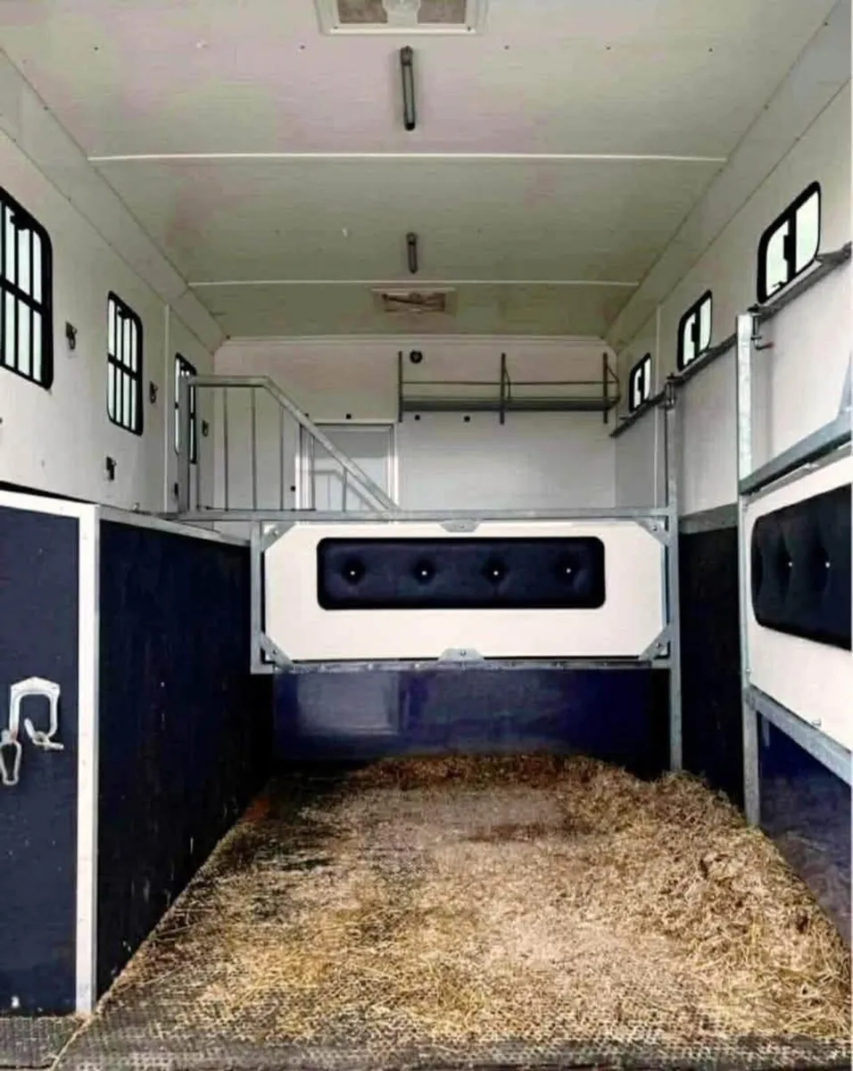 Horsebox 7.5T SWAP FOR BIGGER TRUCK - Image 4