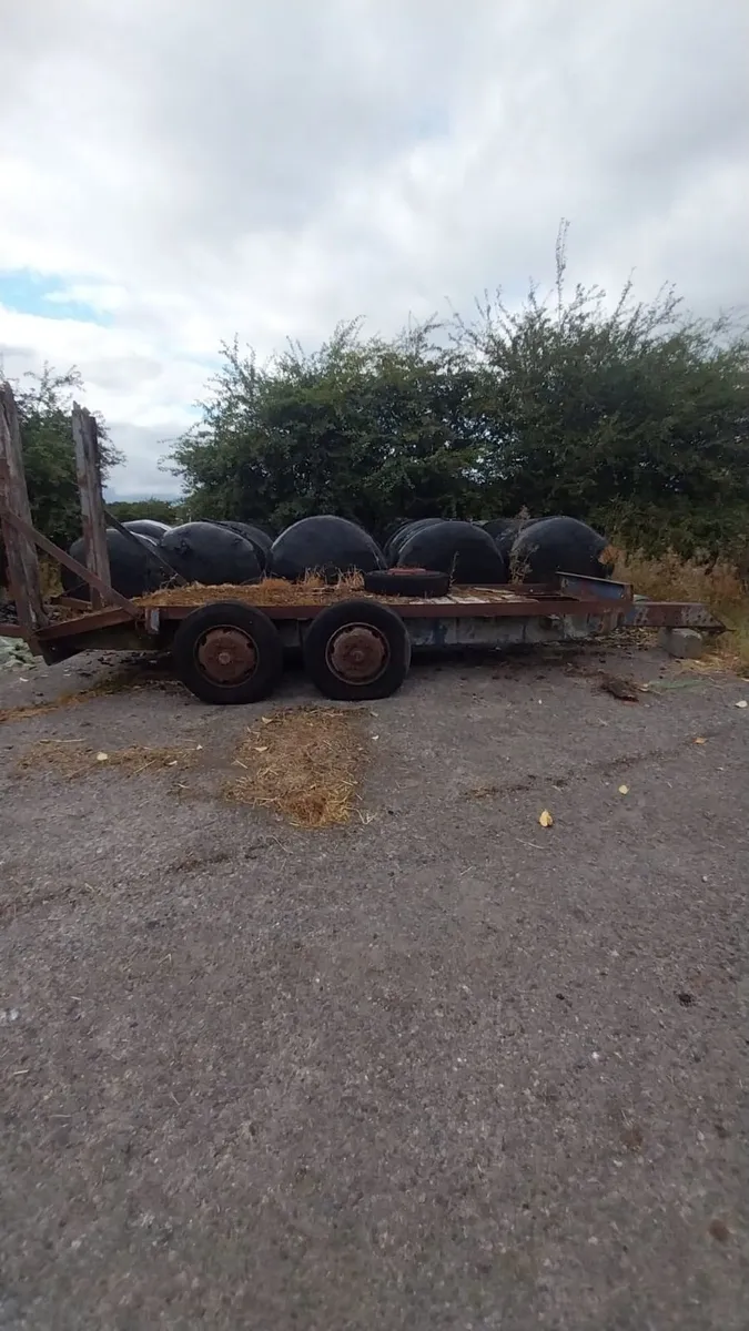 lowloader - Image 1