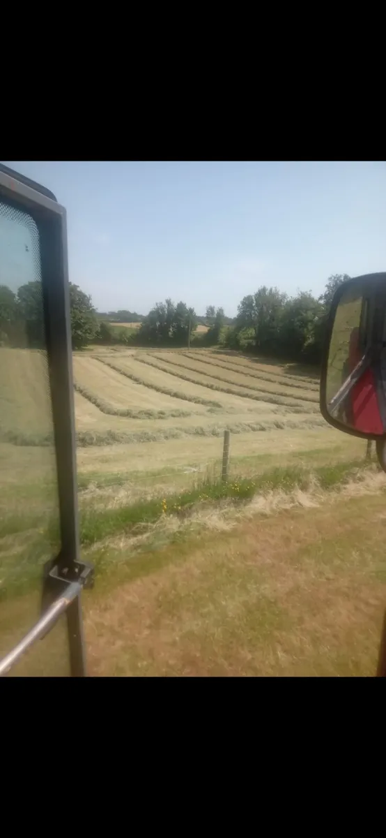 Haylage - Image 3