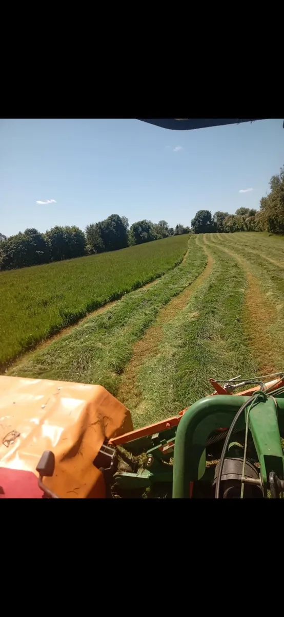 Haylage - Image 2