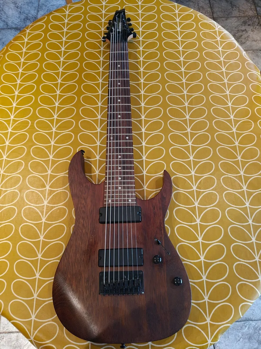 8 String Ibanez RG8 Guitar - Image 1