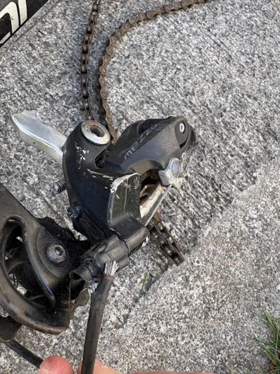 Carrera Valour Mountain Bike - Fixer Up - Image 2