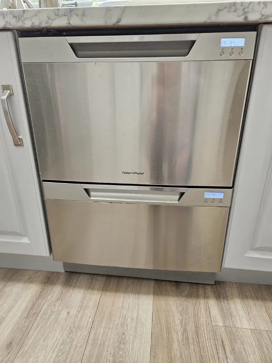 Fisher and Paykel Double Dishwasher - Image 1