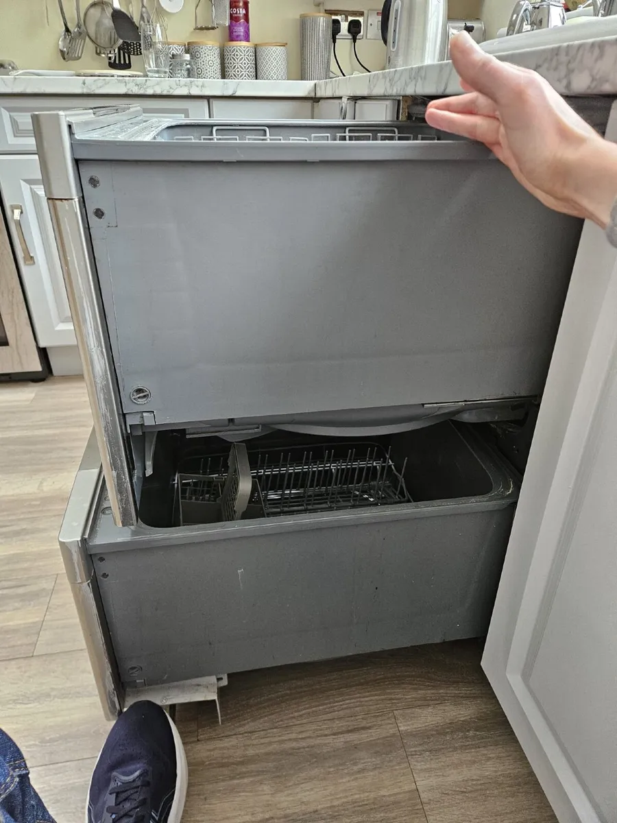 Fisher and Paykel Double Dishwasher - Image 2