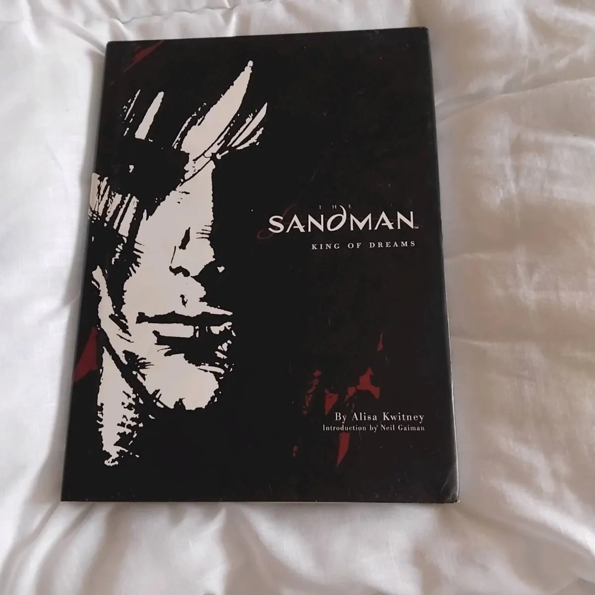 Sandman book - Image 1