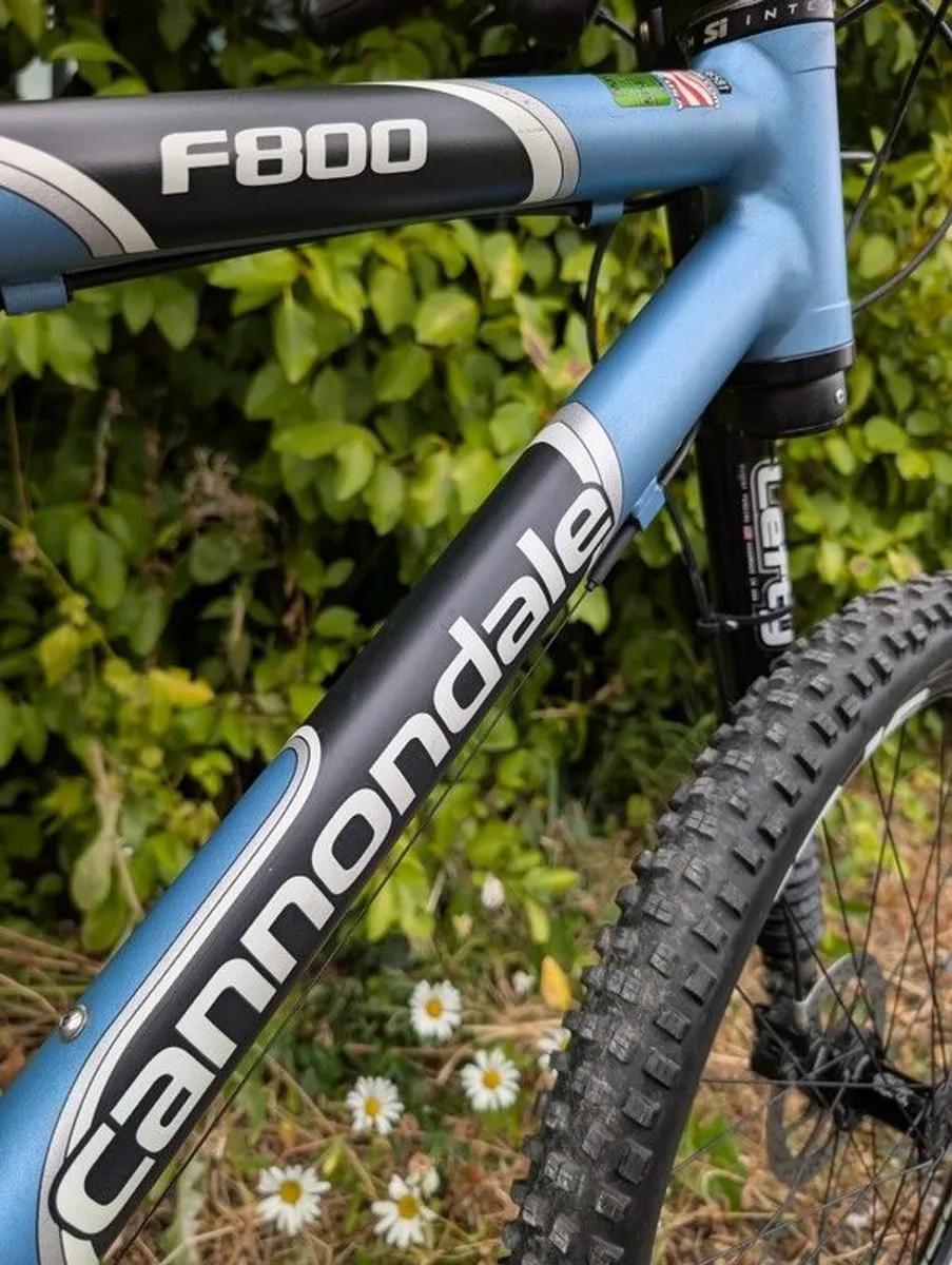 Cannondale F800 Lefty - rare retro - Image 4