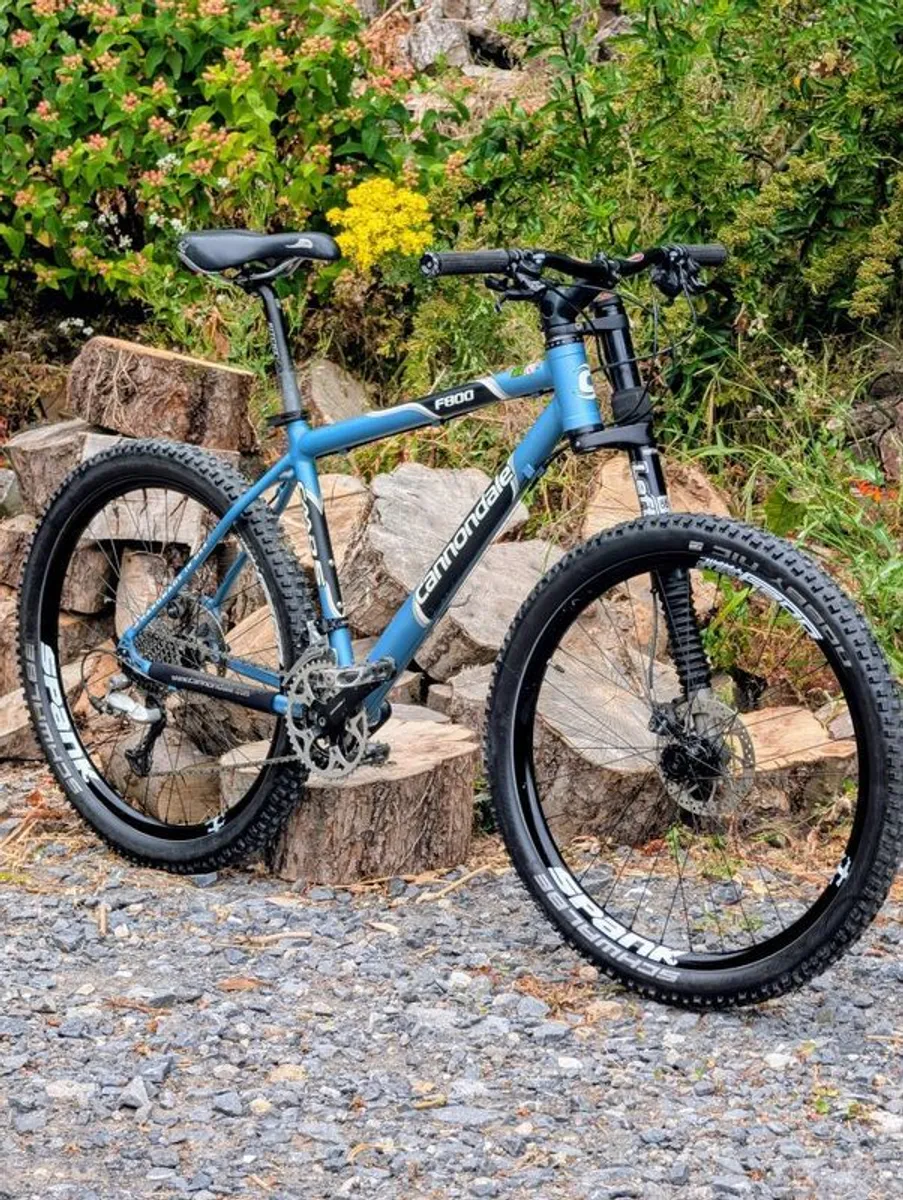 Cannondale F800 Lefty - rare retro - Image 1