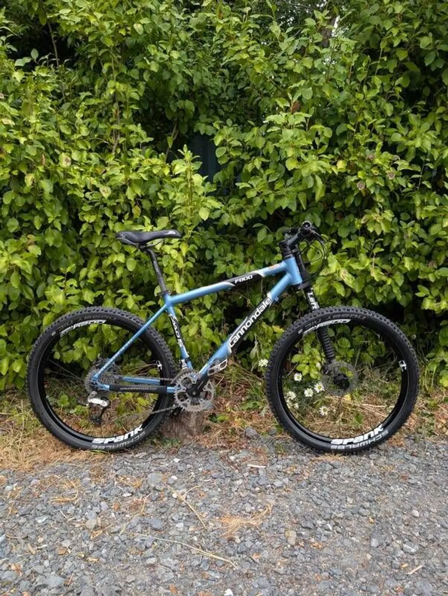 Cannondale F800 Lefty - rare retro - Image 2