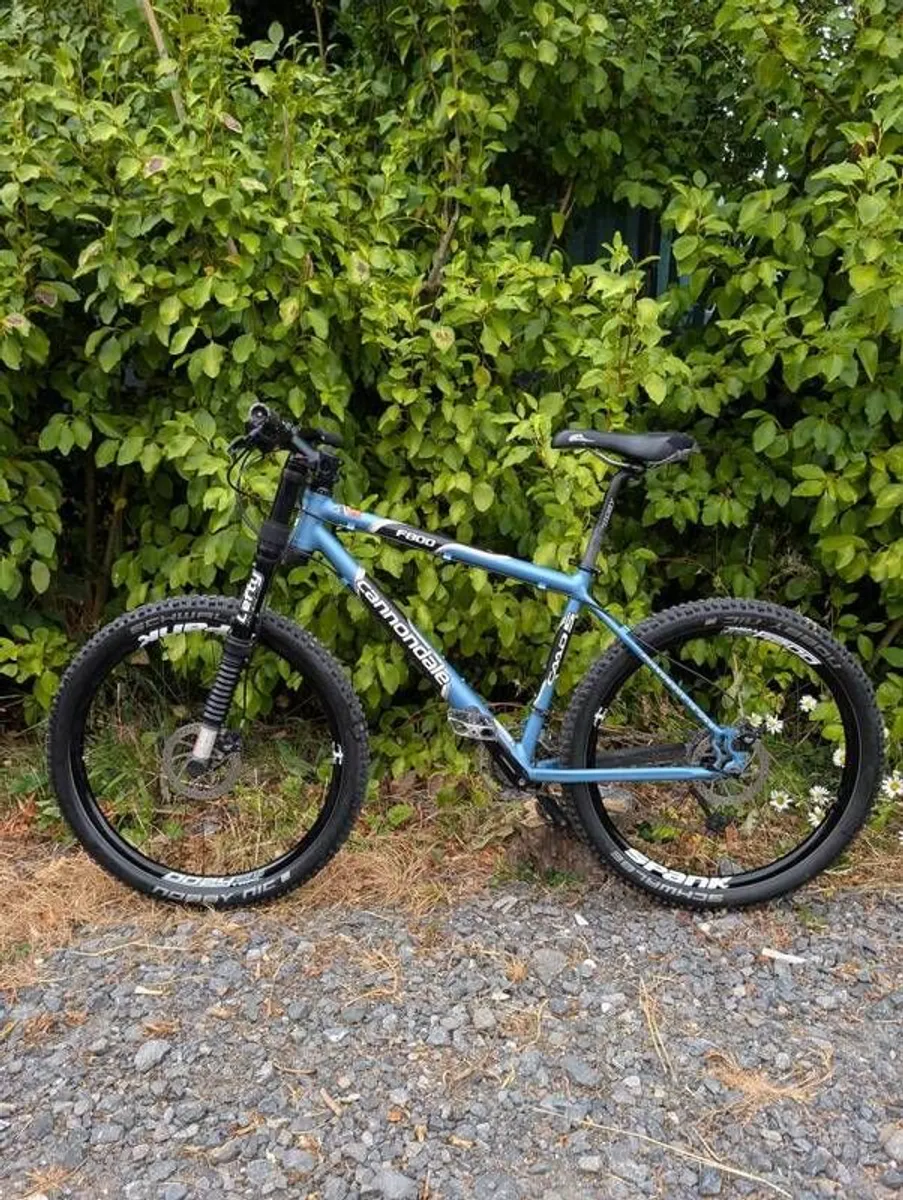 Cannondale F800 Lefty - rare retro - Image 3