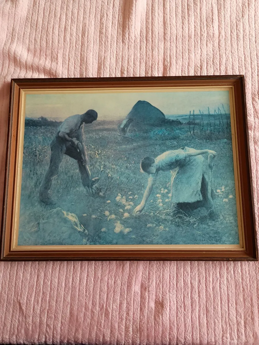 Pictures - Image 1