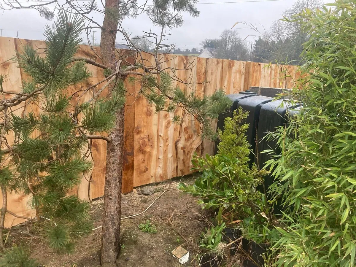 Timber fencing / wood fencing - Image 1
