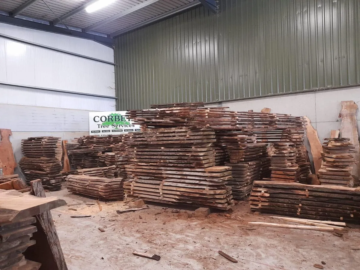 Kiln dried Irish timber / live edge planks - Image 1