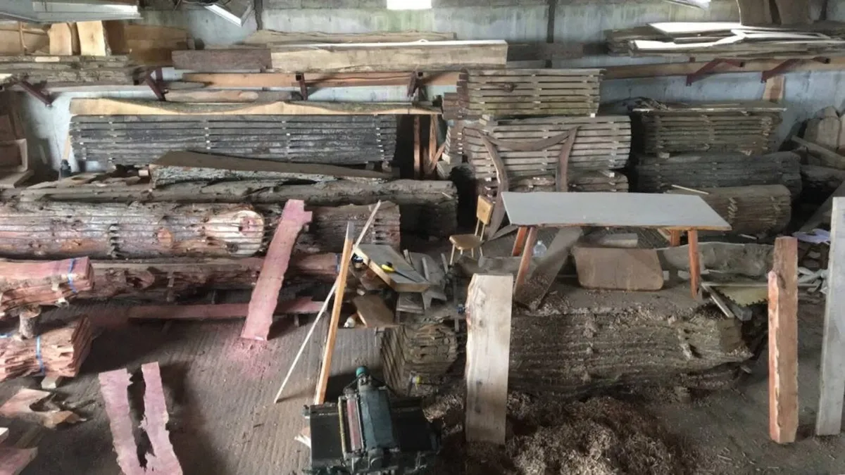 Kiln dried Irish timber / live edge planks - Image 2