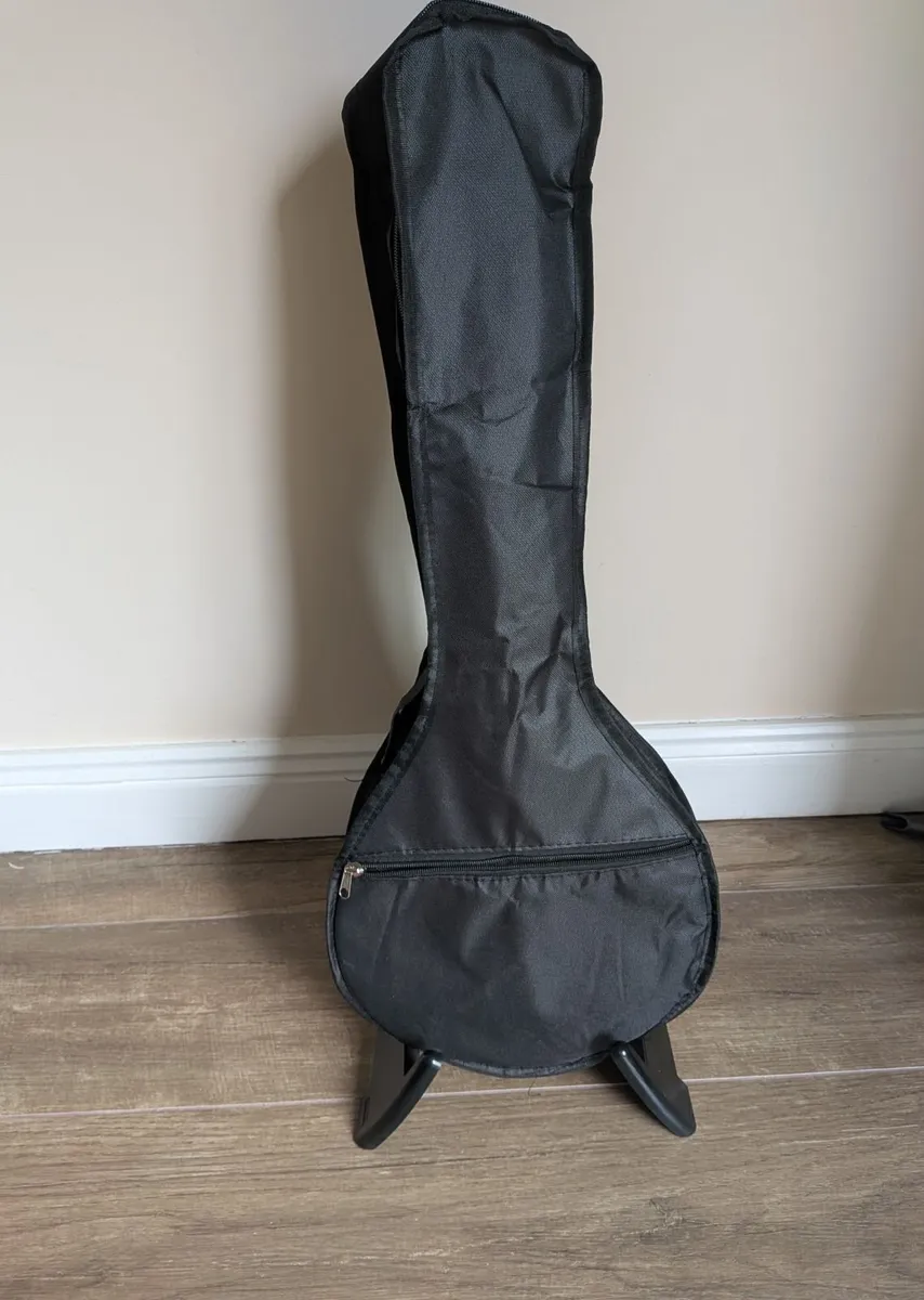 Original Hora Mandolin - Image 4