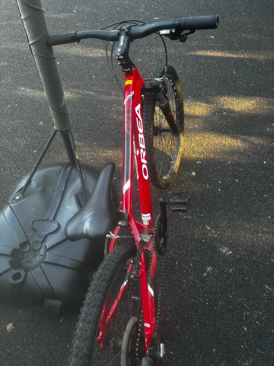Orbea MX24 kids mountain bike - Image 4