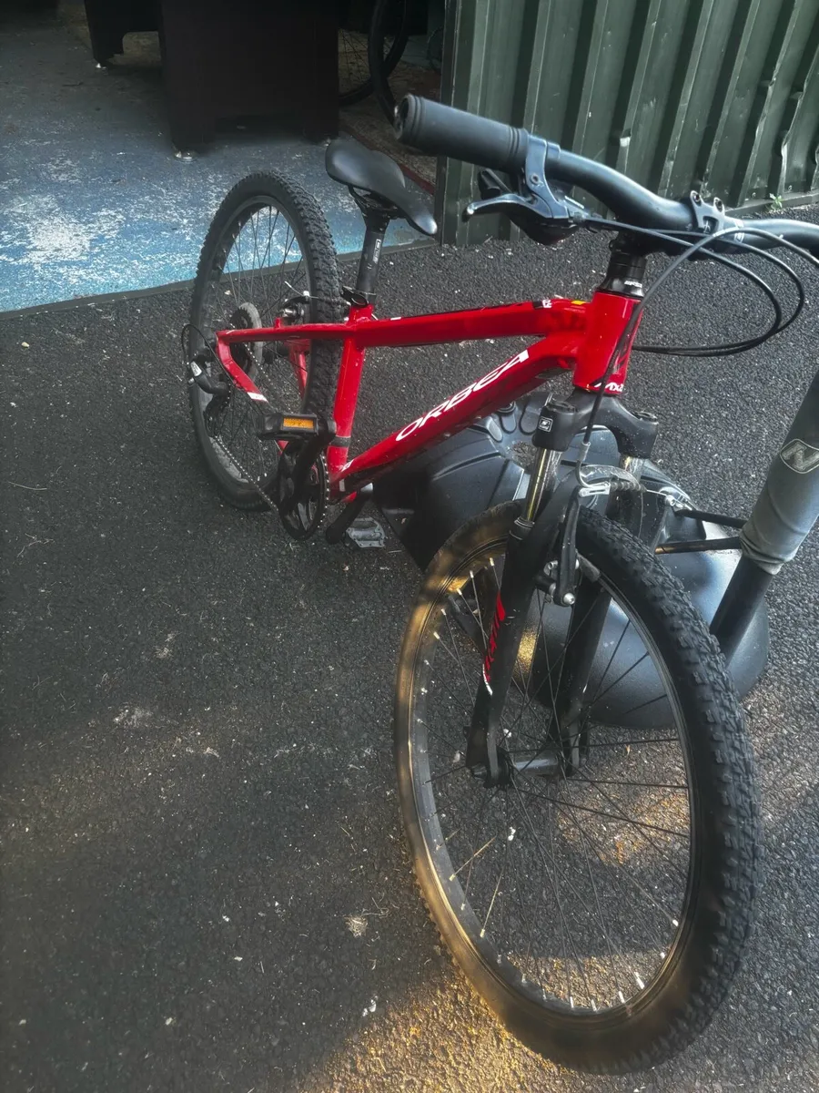 Orbea MX24 kids mountain bike - Image 2