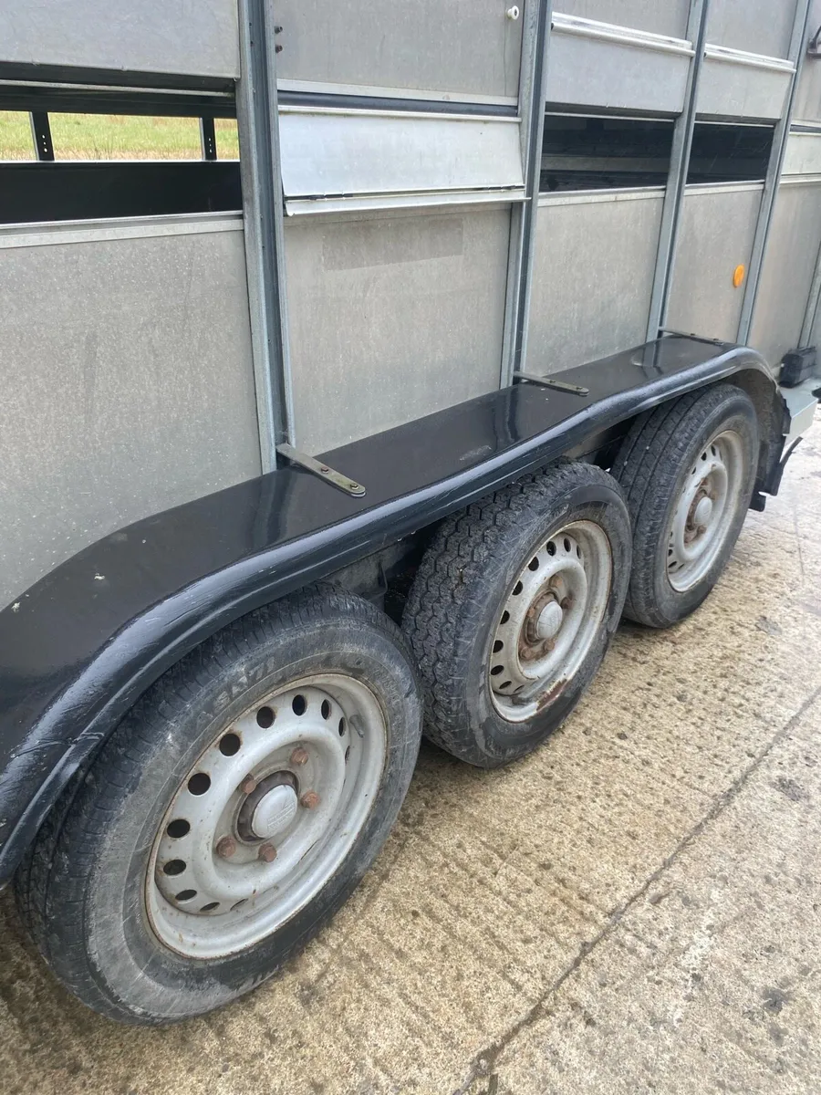 Ifor Williams livestock - Image 3