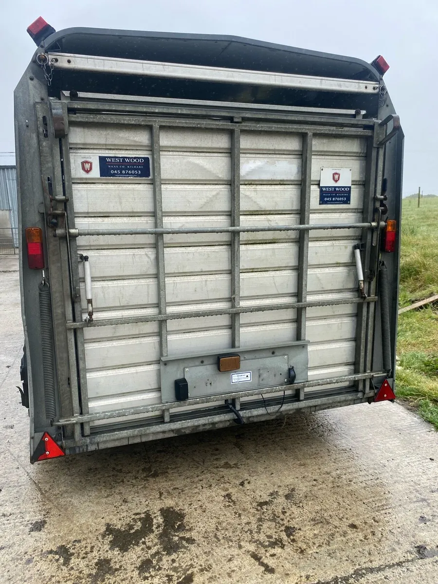 Ifor Williams livestock - Image 4