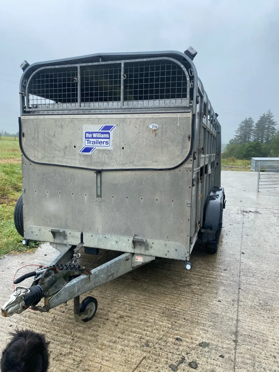 Ifor Williams livestock - Image 1