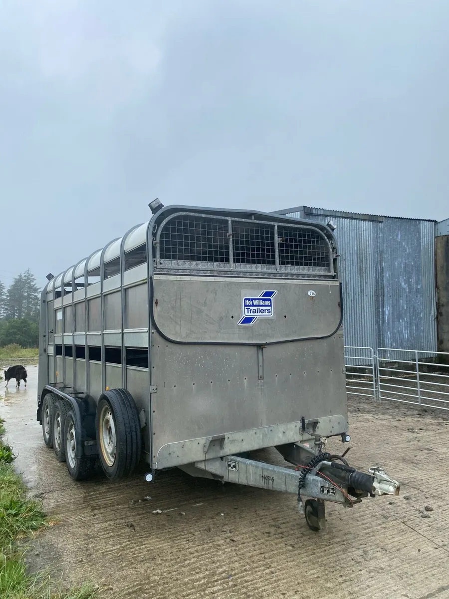 Ifor Williams livestock - Image 2