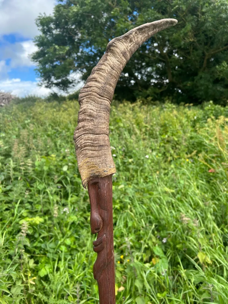 Hand crafted Irish walking sticks and staffs - Image 1