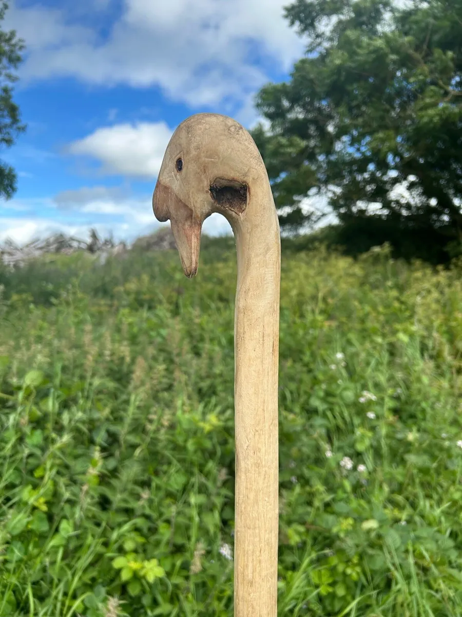 Hand crafted Irish walking sticks and staffs - Image 2