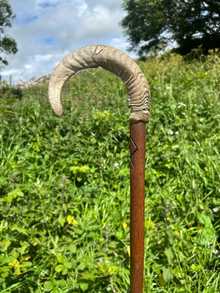 Hand crafted Irish walking sticks and staffs - Image 3
