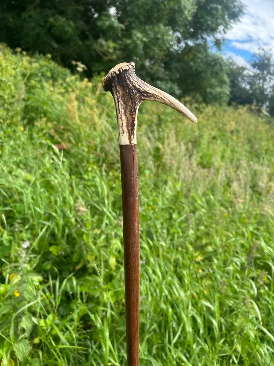 Hand crafted Irish walking sticks and staffs - Image 4