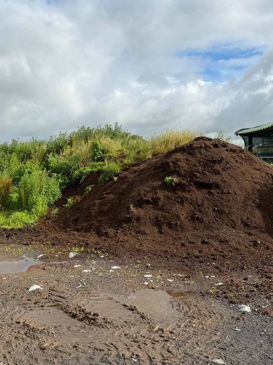 Horse manure