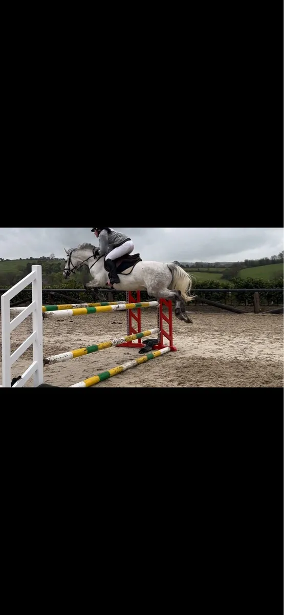148 silver shadow mare - Image 1
