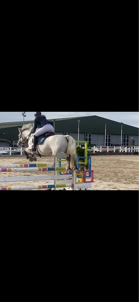 148 silver shadow mare - Image 2