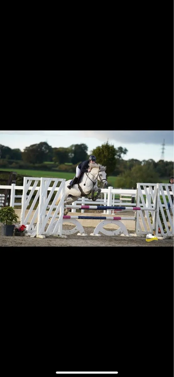 148 silver shadow mare - Image 3