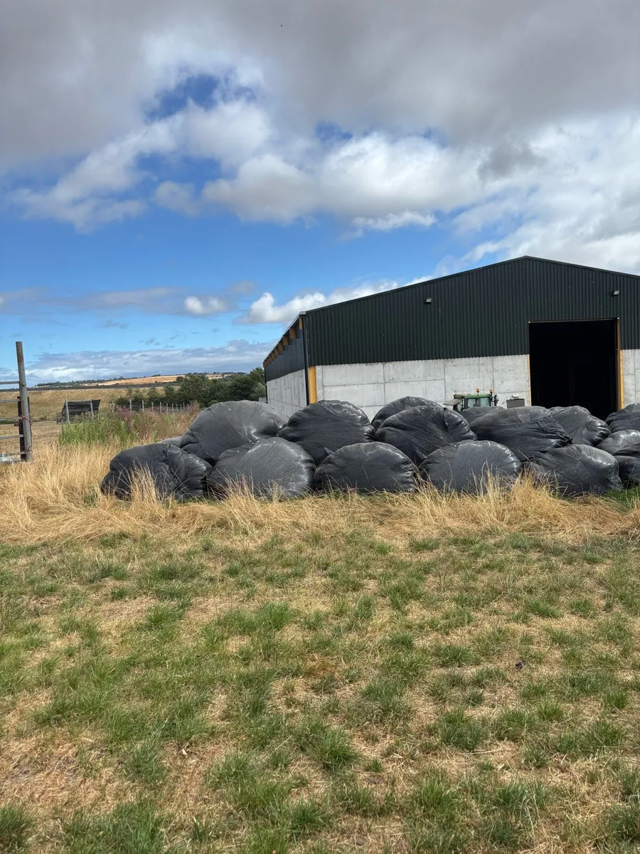 Silage bales