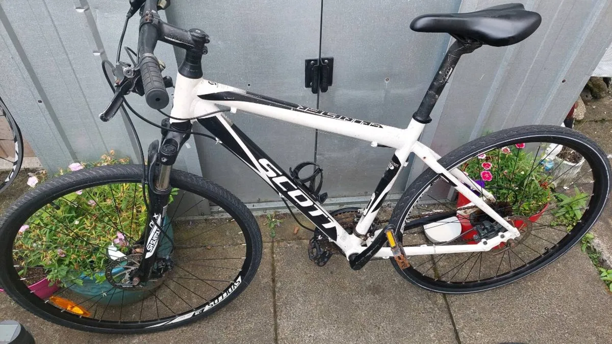 Adult Bikes All Reduced by 20% - Image 3