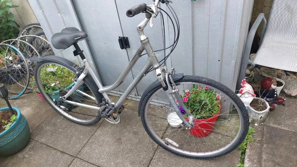 Adult Bikes All Reduced by 20% - Image 4