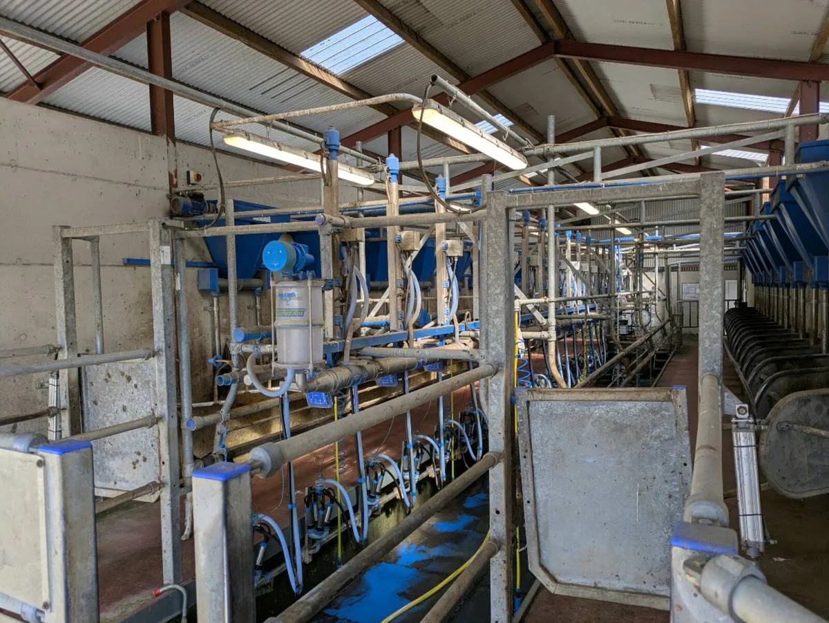 Dairymaster 16 unit high spec parlour - Image 4
