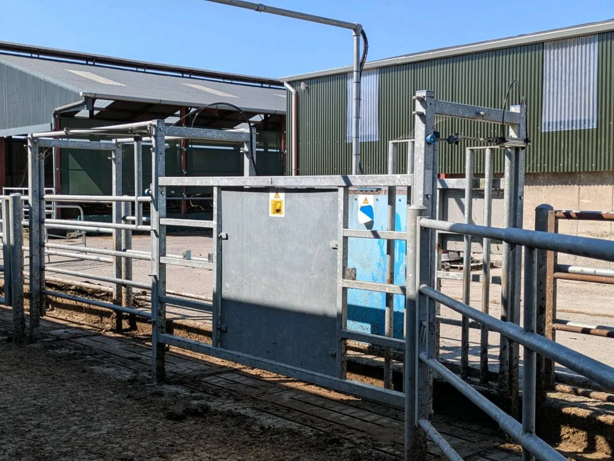 Dairymaster 16 unit high spec parlour - Image 2