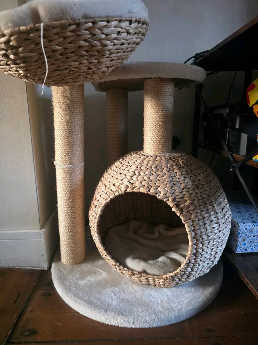 Cat Tree - Image 4