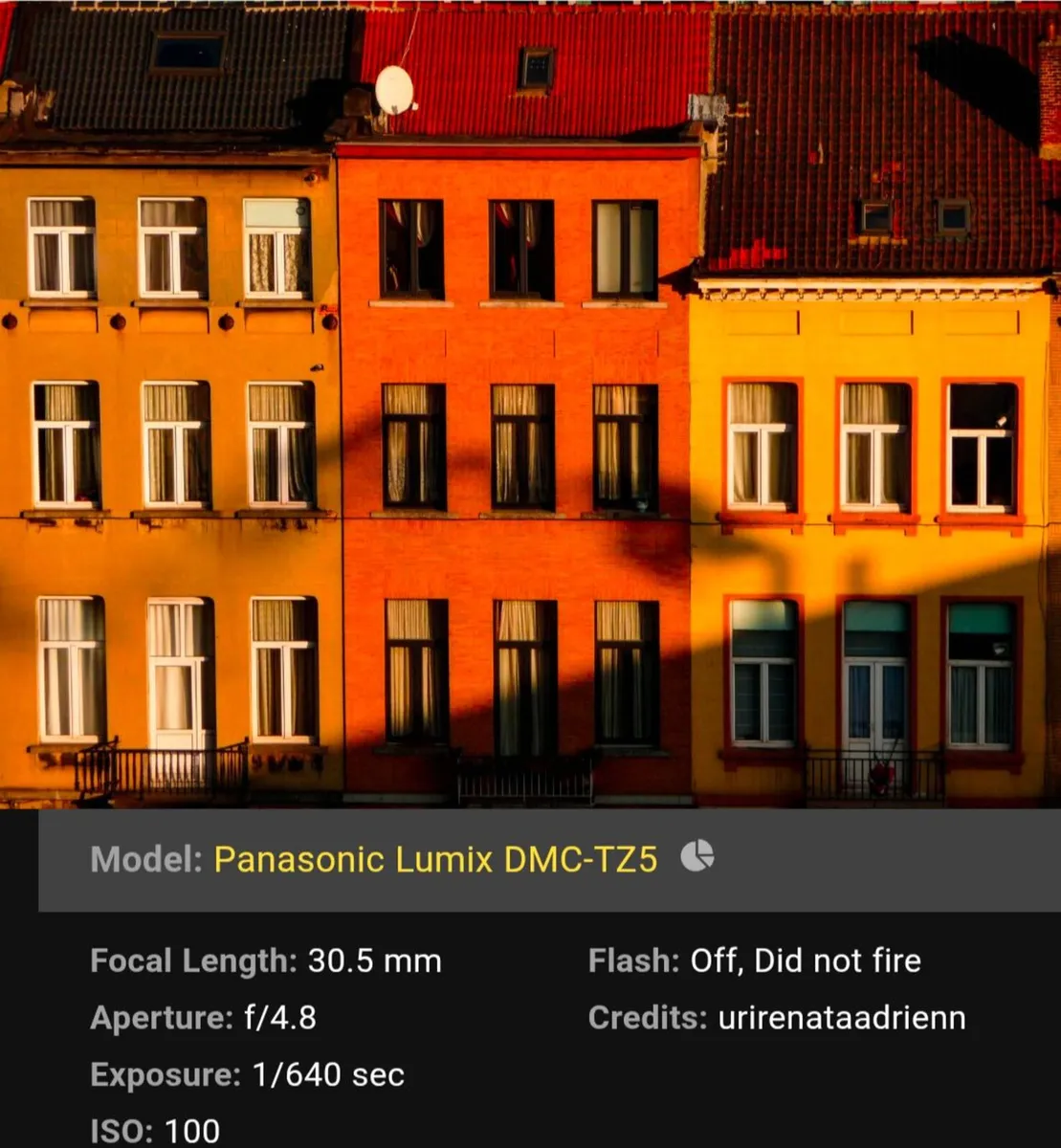 Panasonic Lumix TZ5 9MP CCD🌈 Leica lens camera - Image 3