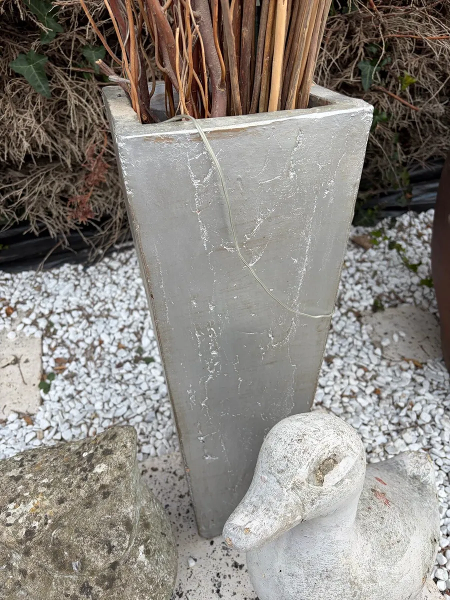 concrete pot and starus garden - Image 4