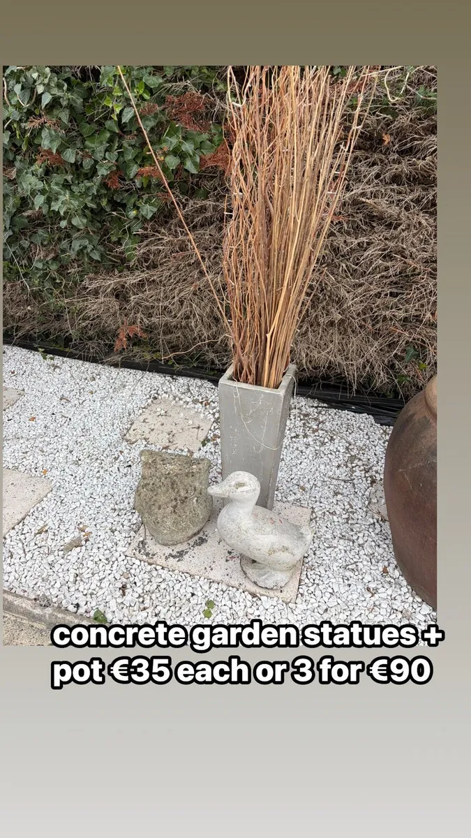 concrete pot and starus garden - Image 1