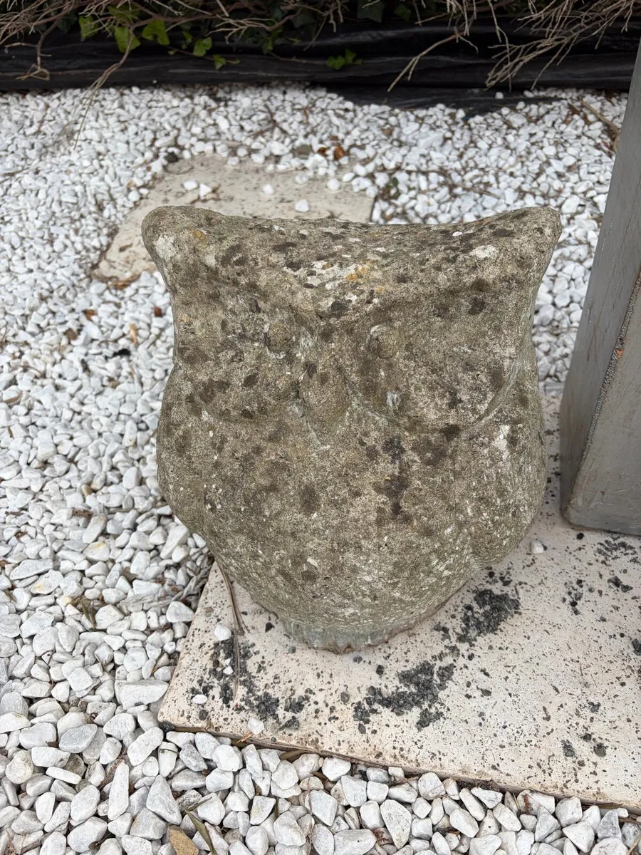 concrete pot and starus garden - Image 2