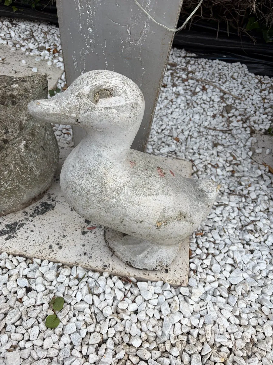 concrete pot and starus garden - Image 3