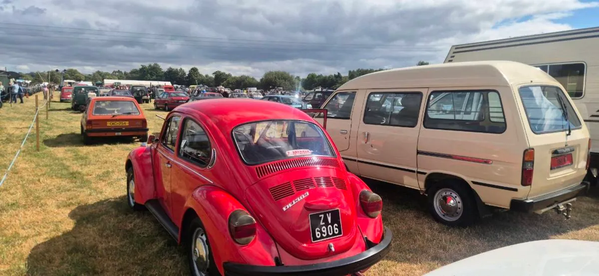 Beetle - Image 2