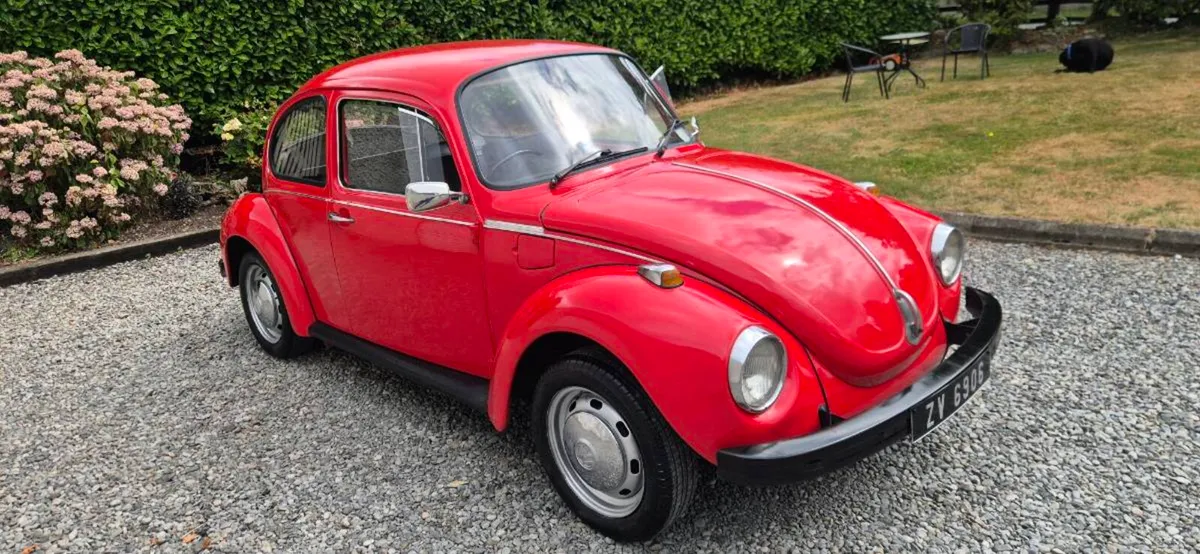 Beetle - Image 1