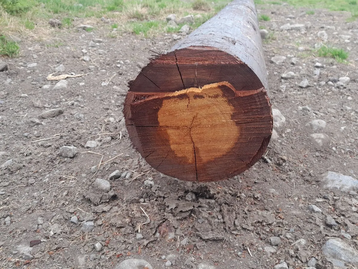 Esb poles - Image 1